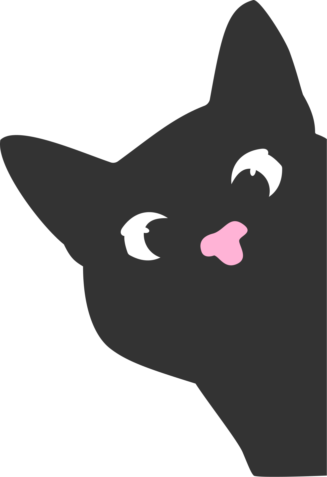 Котик